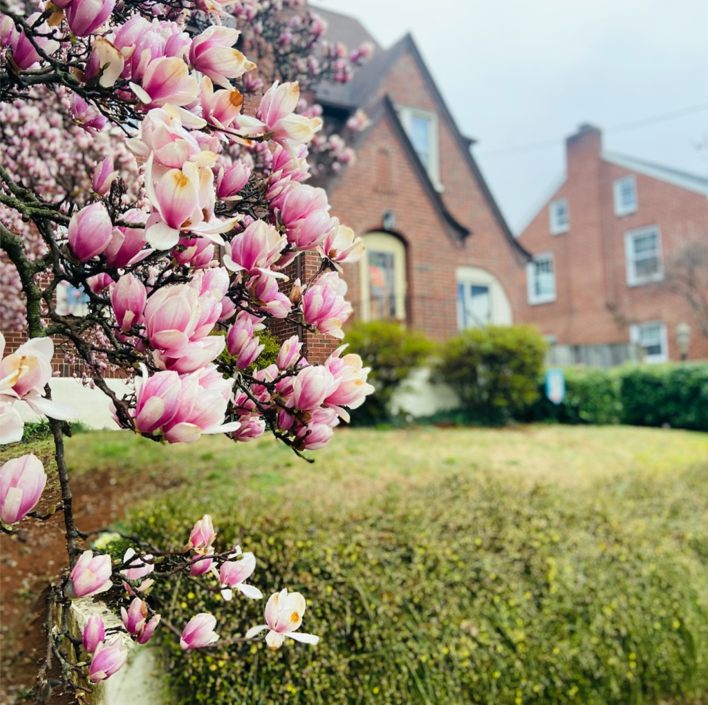 Raleigh Court a neighborhood of Roanoke, VA, tutor style home